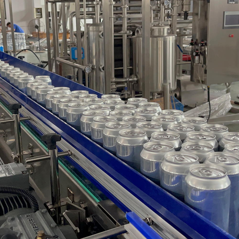 3000CPH Low speed Automatic Aluminum Can Beer Canning Line Filling Sealing Production Machine