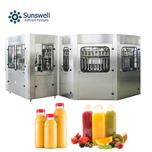 3-in-1 with pulp litchi juice bottling plant from water treatment system to filling and labeling