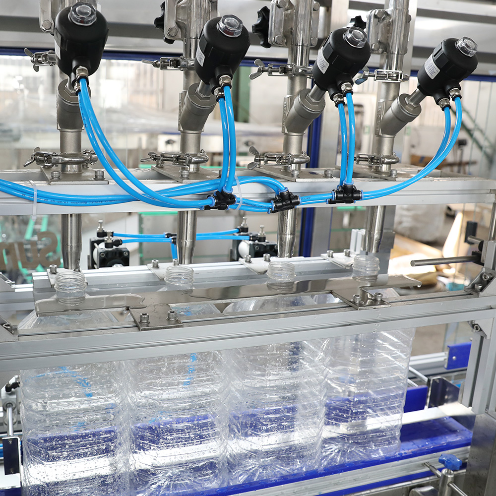 Automatic 5L 10L Bottle Linear Water Filling Machine